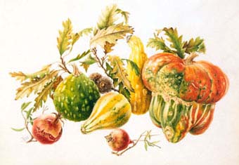 Zucche e Melagrane ornamentali con rami di Cerro - 2002