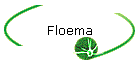 Floema