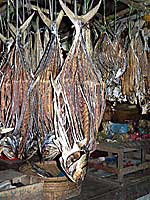 Mercato del pesce a Sittwe