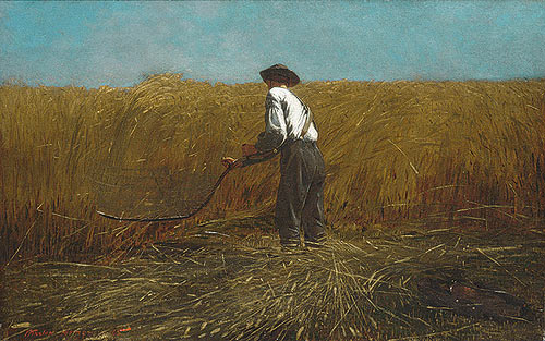 Homer - Veterano in un
                  campo di grano