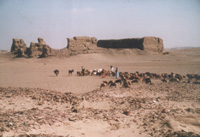 The "Fort" of Hierakonpolis