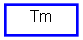 Inheritance diagram of Tm