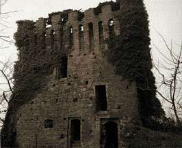 Il castello di Sarzano