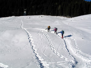 Salita al Dosso di Costalta m 1.955 - (16 gennaio 2006)