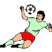 soccer1.gif (4965 byte)