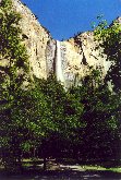 Yosemite N.P. - Le Bridalveil Falls