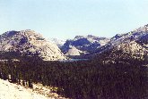 Yosemite N.P. - In vista dell'azzurro Tenaya Lake, diretti verso il Tioga Pass