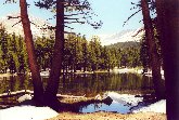 Yosemite N.P. - Un piccolo laghetto in prossimità del Tioga Pass
