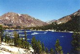 Yosemite N.P. - Il Tenaya Lake