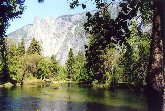 Yosemite N.P. - Il Merced River, che qui scorre in un tratto tranquillo