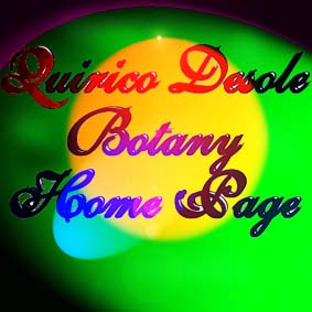 Quirico Desole - Botany Home Page