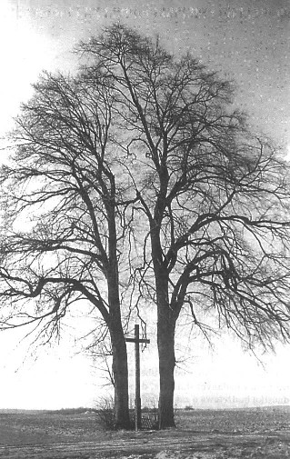 Krzy na polach Leszczyny, ustawiony przez Piotra aka w 1921 roku na pamitk Konstytucji 3 maja i 17 marca