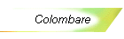 Colombare