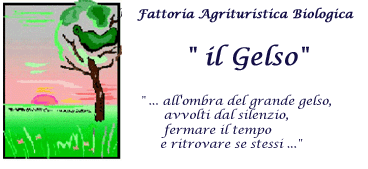 Agriturismo il Gelso