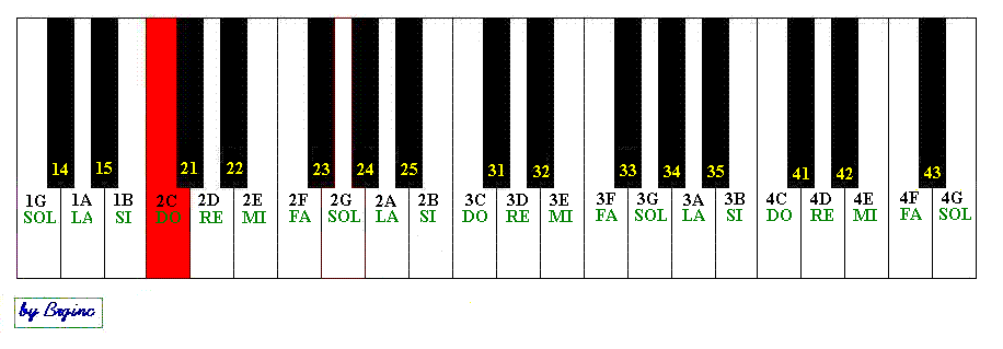 Le note sulla tastiera della fisarmonica secondo il mio metodo