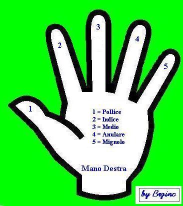 La nomenclatura della mano