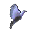 Peace's simbol