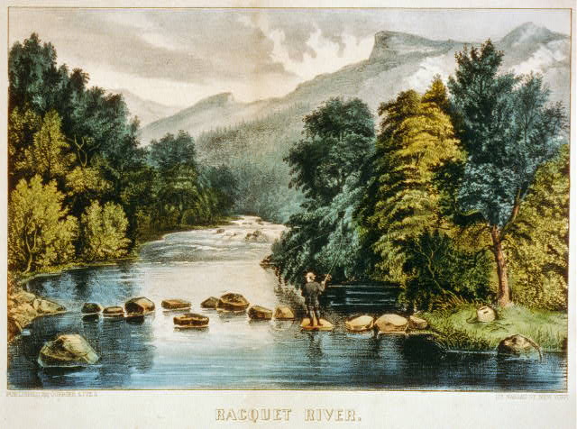 Racquet River - Illustrazione