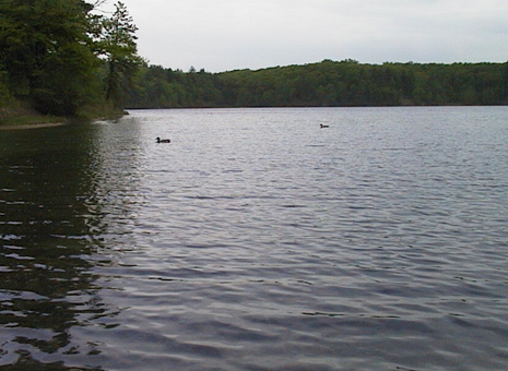 Lago di Walden