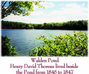 Walden Point