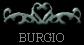  BURGIO 