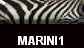  MARINI1 