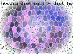 hoodia diet pill hoodia weight loss diet pill