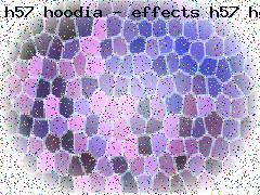 hoodia diet pill side effects of hoodia diet pill