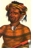 Shauhaunapotinia, o l'Uomo che uccise tre Sioux