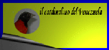 www.cardinalinodelvenezuela.com