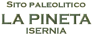 Giacimento Paleolitico La Pineta di Isernia