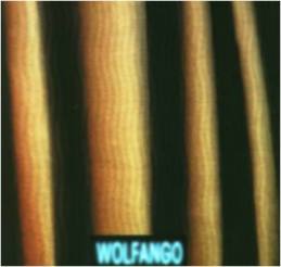 Fronte Wolfango