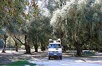 In camper tra gli ulivi secolari dell'Epiro