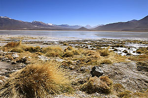 Confine Cile e Bolivia