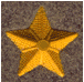 stellar.gif (193898 byte)