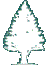 Tree (White) 2